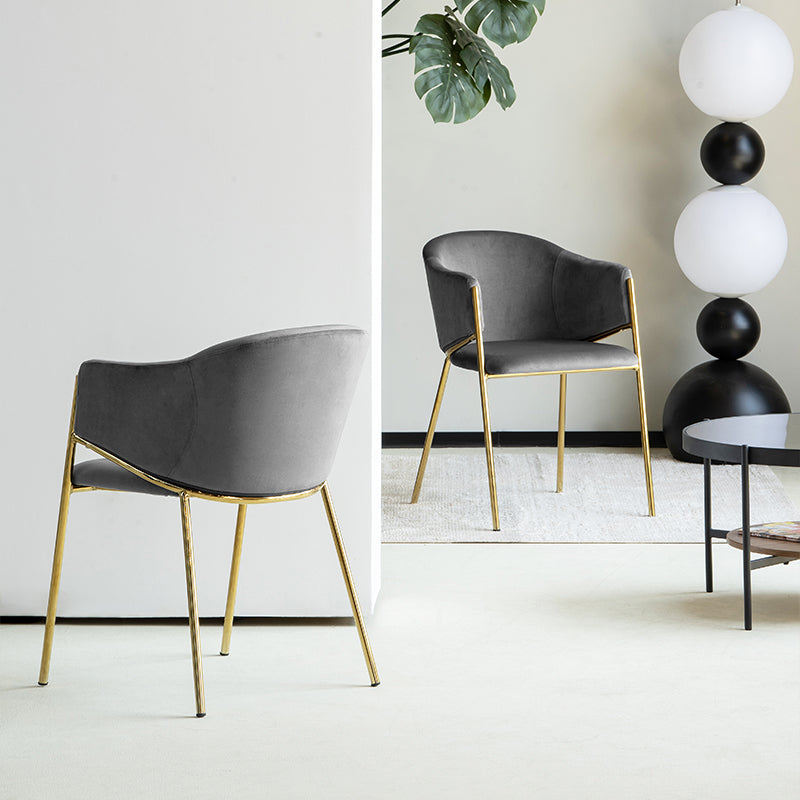 Add luxury to your dining room with OFCASA Dalila Velvet Dining Chairs: plush velvet, golden chrome legs, sturdy metal frame, easy assembly for stylish UK homes. Modern budget dining chairs in family home setting