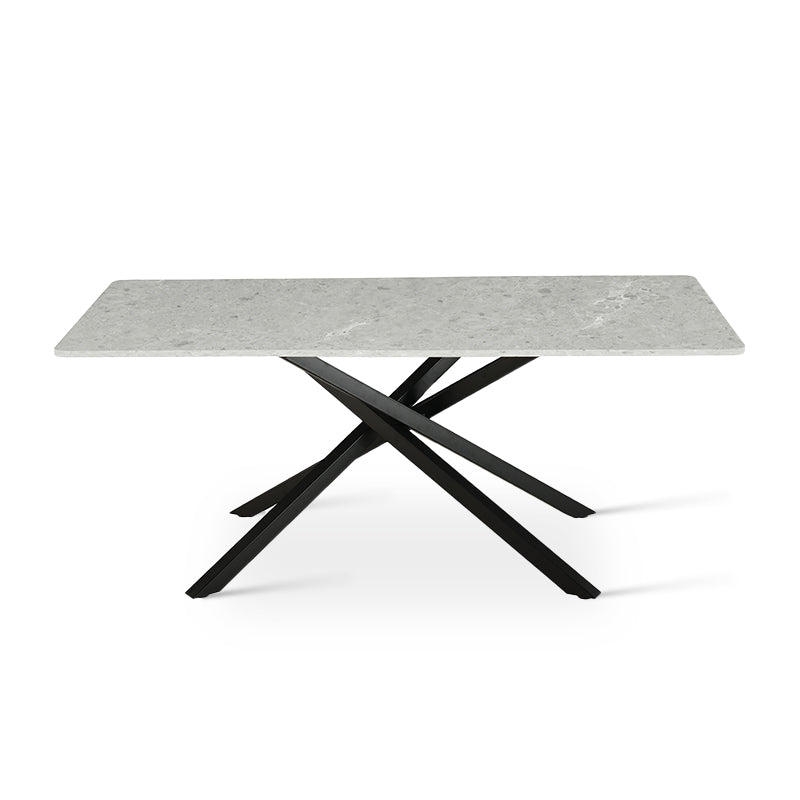 Elevate dinner parties with the Thalia Rectangular Dining Table from OFCASA. Its grey marble patterned tabletop and sculptural black metal legs create a statement of modern luxury.