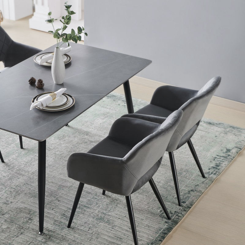 Stein Dining Chairs [Set of 2] [Velvet]