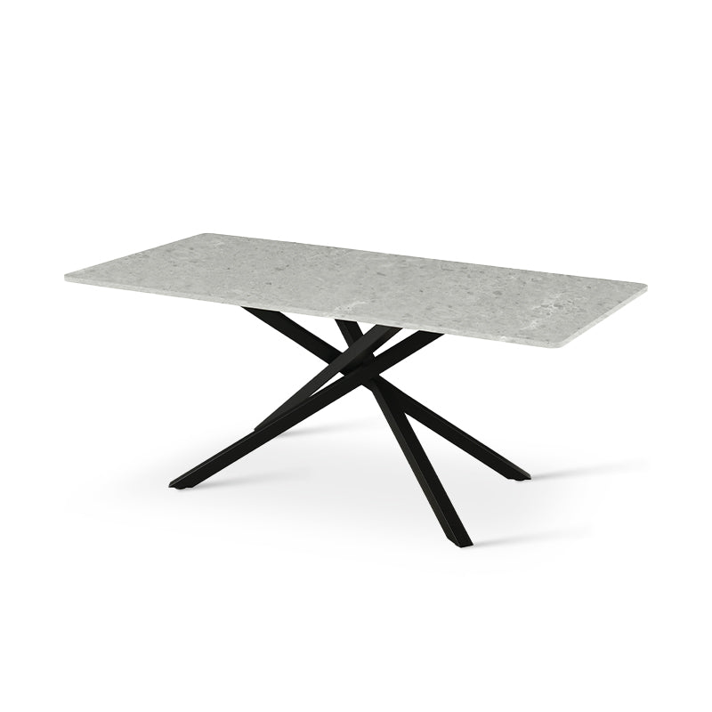 Elevate dinner parties with the Thalia Rectangular Dining Table from OFCASA. Its grey marble patterned tabletop and sculptural black metal legs create a statement of modern luxury.

