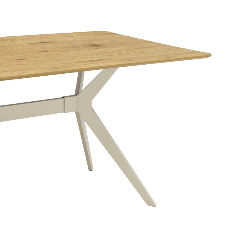 Laila Rectangular Dining Table [Dark Grey Marble] [Wood][160cm]
